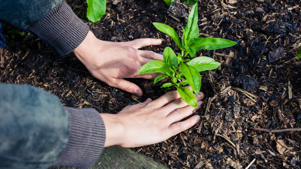 RingCentral's tweet photo. Every quarter, #RingCentral employees get an extra day off to disconnect from work and spend time doing the things they love. Today’s #CaRINGDay aligns with #EarthDay. We encourage all our employees to get out into the community and give back to the Earth. Enjoy your day! https://t.co/HNef07haLW