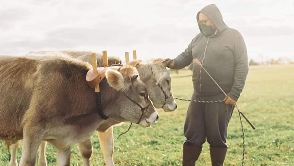 shakervillageky's tweet photo. Happy Earth Day! We strive to do our part to create a more sustainable Village with recycling bins, LED lights, a solar-powered van for our Housekeeping team and oxen-driven plowing.
#ShakerVillageKY #EarthDay #Oxen #DraftAnimals #SolarVan https://t.co/roJAUvcUDq