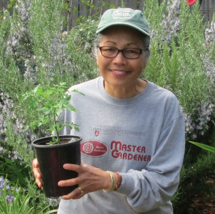 WSUClallam's tweet photo. Experts on Hand 👋🏾

Got a plant question? Come to the garden &amp; ask! We are offering free expert advice at the plant sale.

Shop the Clallam County Master Gardeners Plant Sale, Saturday, May 7th from 9–3 p.m., 2711 Woodcock Road in Sequim. 

See you there! https://t.co/599YiN07H7