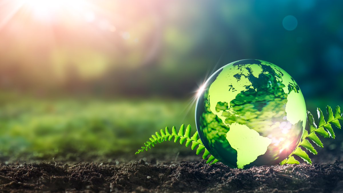 WorkingNation tweet media