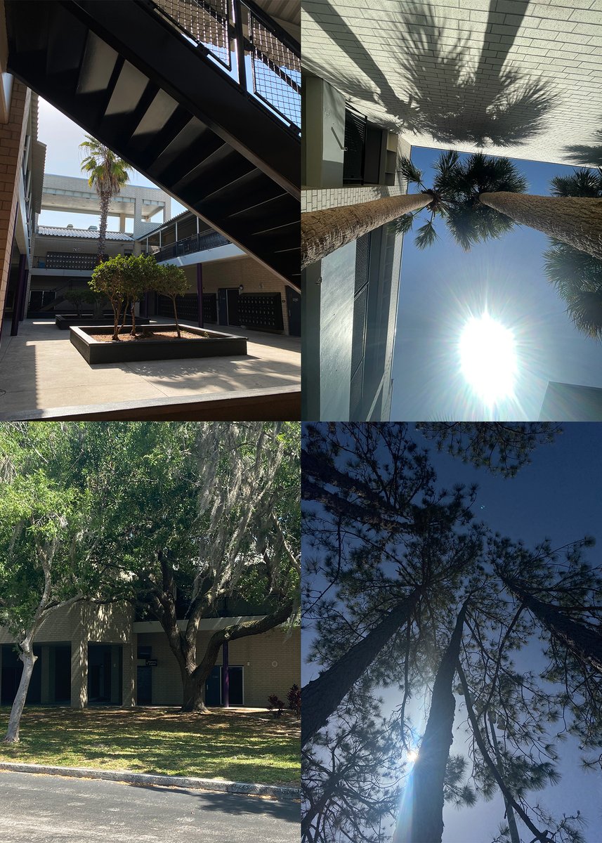 River Ridge Knights tweet media