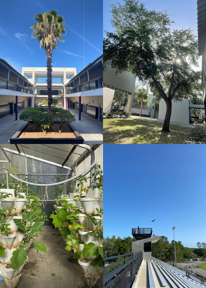 River Ridge Knights tweet media