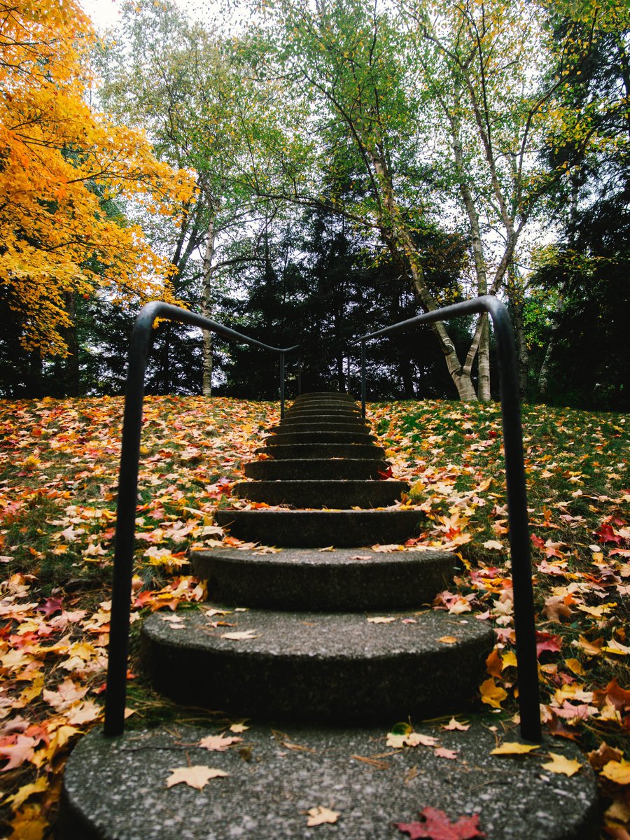 alfredlongsr's tweet photo. You don't have to see the whole staircase, just take the first step. - MLK, Jr.

(Psalms 37:23 NLT)
“The LORD directs the steps of the godly.
He delights in every detail of their lives”. https://t.co/FuPDZmOPdh