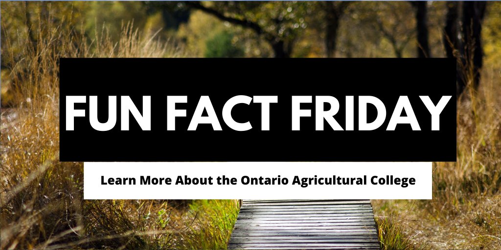 Agriculture accounts for 1 in 9 jobs for Canadians, and makes up over 7.4% of our GDP! 🌱

Playing a critical role in our country, agriculture impacts all of us. 👩‍🌾👨‍⚕️👨‍💼

For a full list of our #agriculture offerings, visit bit.ly/38f80du

#FunFact #FunFactFriday #Canada
