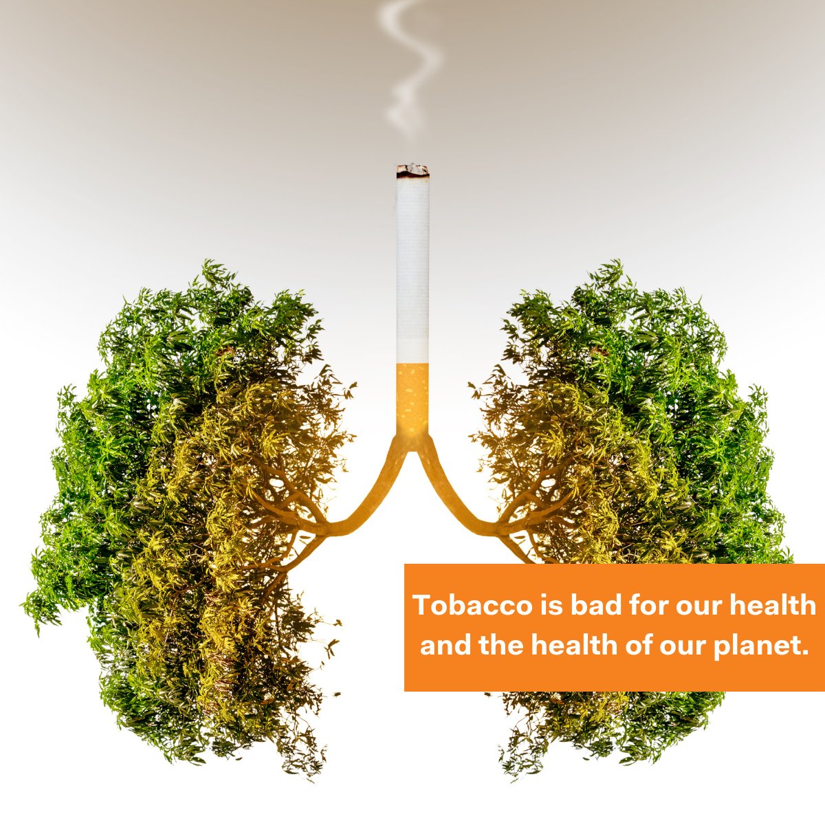 uicc's tweet photo. 4.5 trillion cigarette butts primarily made of plastic pollute the environment. 

Stricter and more effective tobacco control will improve people’s health and the health of the planet. 🚭

#EarthDay #NoTobacco #TobaccoExposed @who https://t.co/usFAuYp9xb
