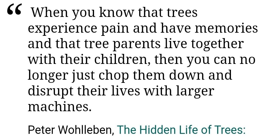 The Hidde Life of Trees by Peter Wohlleben is a great reminder of how all living beings are interconnected.

#EarthDay2022