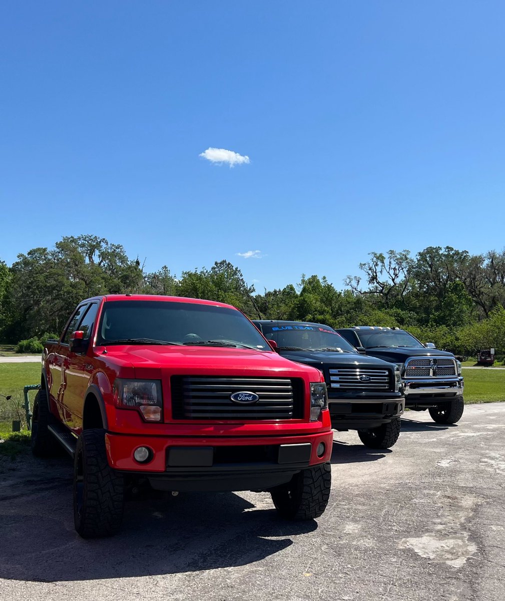 Bully Dog tweet media