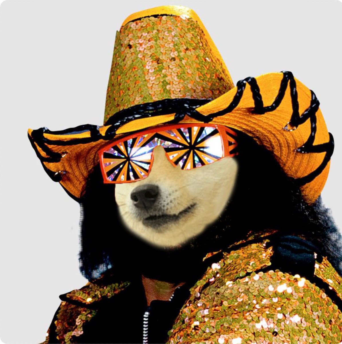 Own The Doge 🐶🖼 tweet media