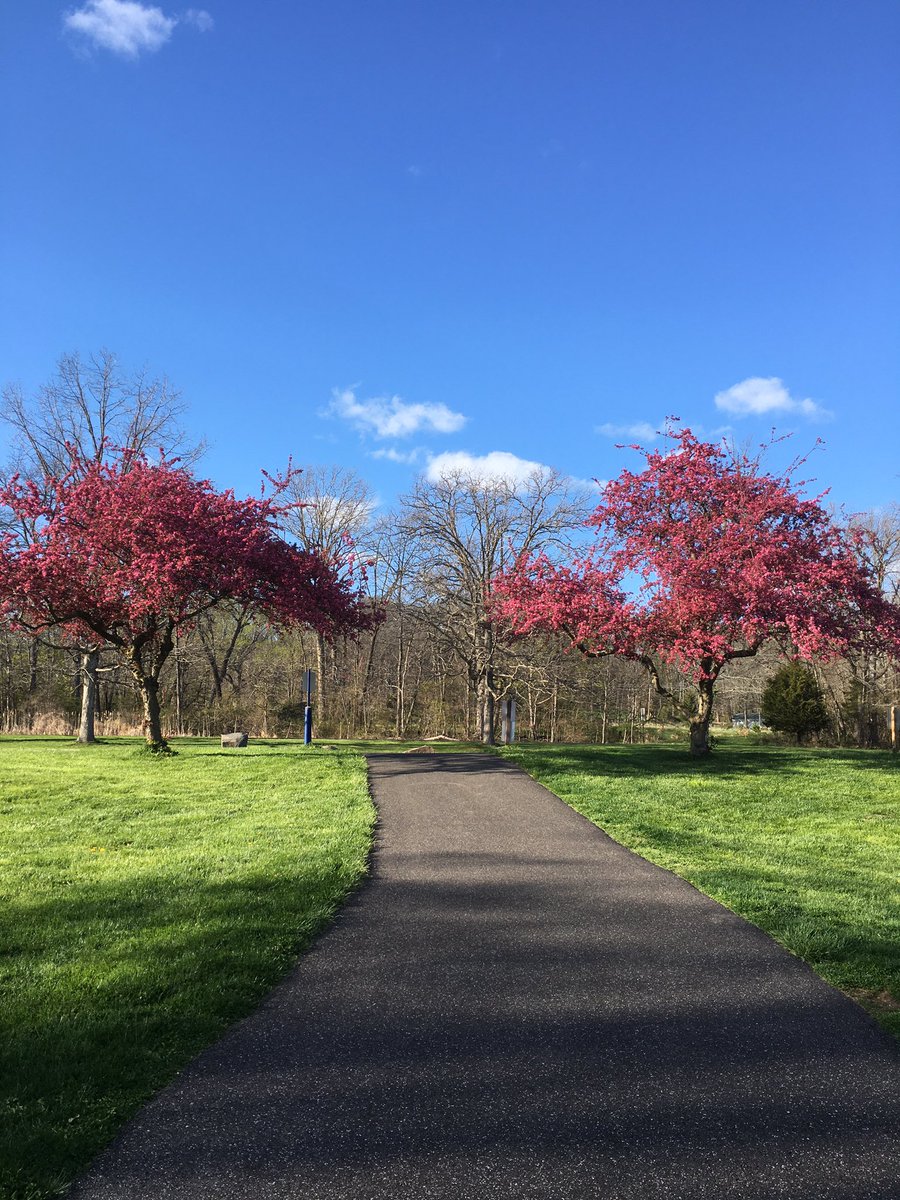 miguelangelper's tweet photo. “We will always find a flourishing path if we voluntarily make our daily individual contribution to save our mother #Earth “
#EarthDayEveryDay #earthlove #earthexperience https://t.co/N4hPR7DHzz