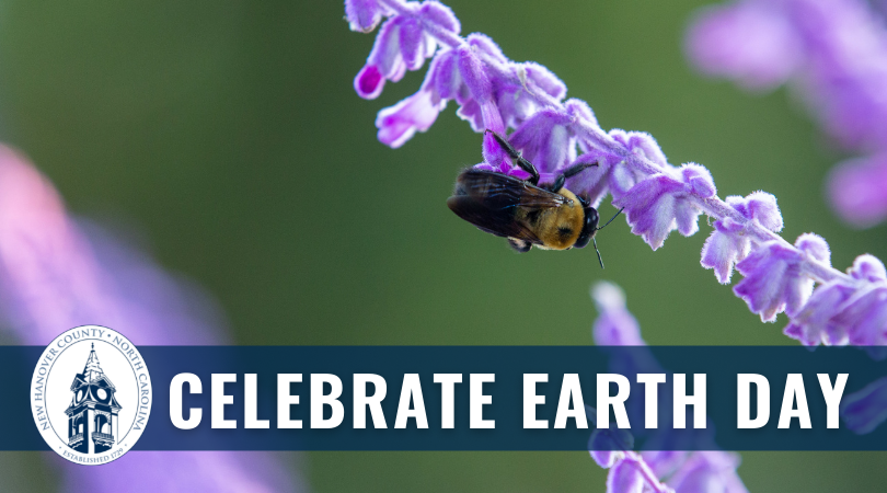 NewHanoverCo's tweet photo. Happy Earth Day π Celebrate and #ExploreNHC by getting outside and visiting any of our beautiful @NHCParks! Find locations and more information at https://t.co/GRn1sFRSs6 https://t.co/X0JZtX3vze