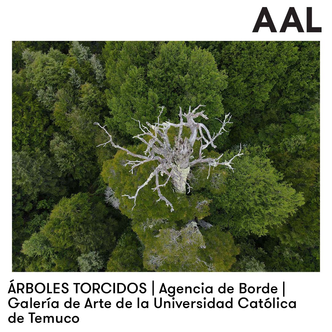 Arte Al Límite tweet media