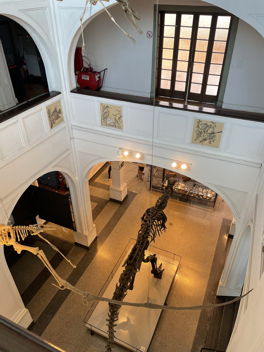 GabiCamacho's tweet photo. I'm incredibly happy to share that, soon, I'm moving to São Paulo to take up the position of Professor and Curator of Entomology at the Museum of Zoology at the University of São Paulo! https://t.co/yoH3I00U8a