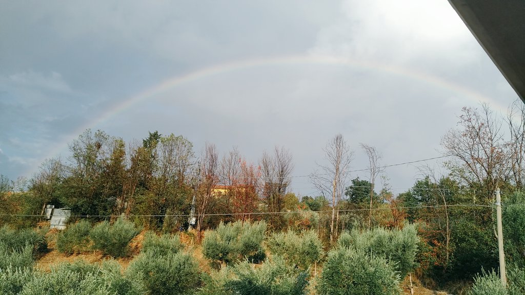 Proteggere il nostro meraviglioso pianeta è fondamentale!!! #EarthDay 💚🌿🌱🌳🌲🐺🌏🌎🌍🐝🫒🥬🌾🐘🐆🦅💧🌊🐬🐟🌺🌻🚵 🚶🏻‍♀️