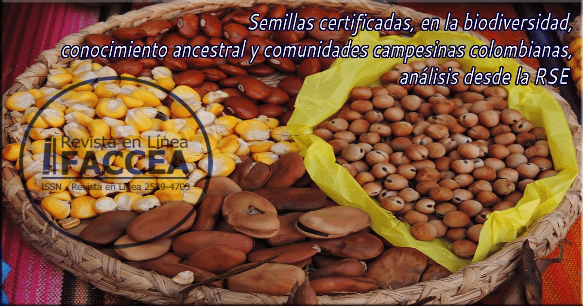 EUniamazonia's tweet photo. La #revistaFaccea publica #artículosdeinvestigacion  como: #Semillascertificadas, en la #biodiversidad , #conocimientoancestral y comunidades #campesinas #Colombianas, análisis desde la RSE. Disponible: https://t.co/eOBtBsaXwX https://t.co/WGkMJDNJDR