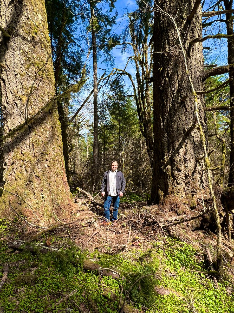 Happy Earth Day! In Oregon we are blessed with some incredible natural resources and sceneries, including our beautiful forests. We need to be doing as much as possible to protect these, as well as investing in renewable and green energy technologies. #EarthDay2022 #OR06