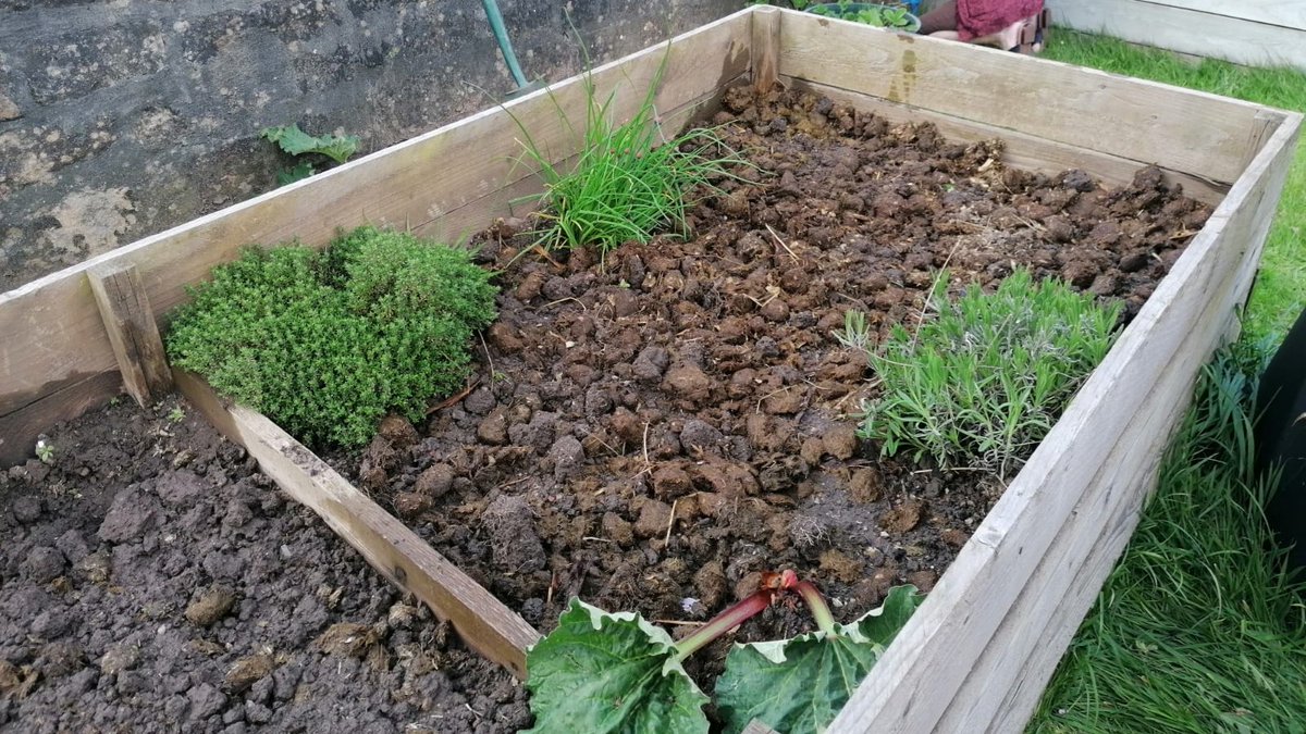 EmilybdOTA's tweet photo. What's a better way to celebrate #EarthDay than planting vegetables in the garden #TeamOrchard. @mar8aret https://t.co/gnzBv2ehpN