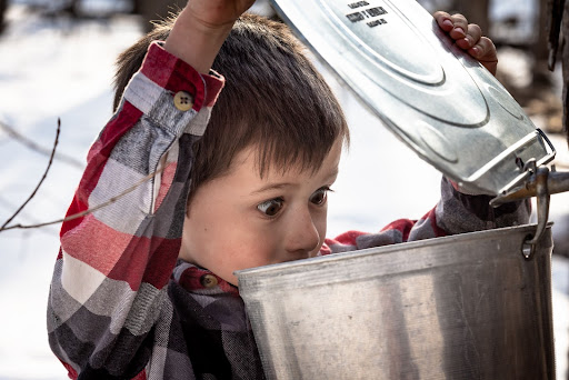 Did you know that the average sugar maple tree produces anywhere from 5 to 15 gallons of sap? This means that the sap from 2.5 trees needs to be combined in order to make a single gallon of syrup! 🤯