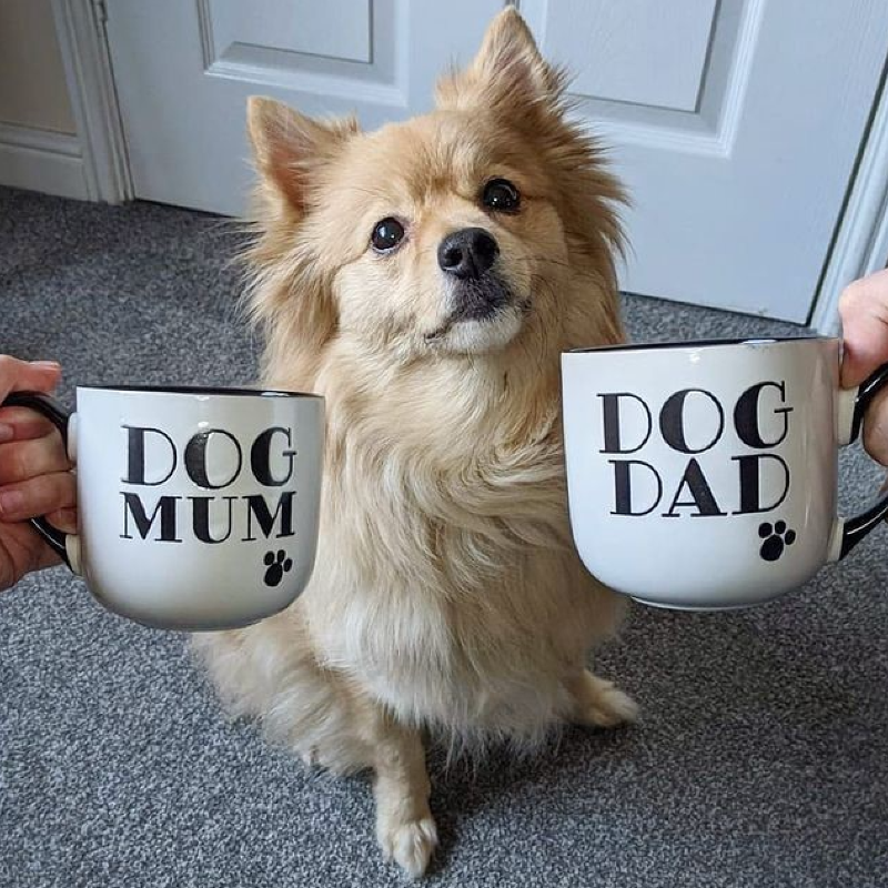 Asda on Twitter "all_things_dog_uk on Instagram is loving our super