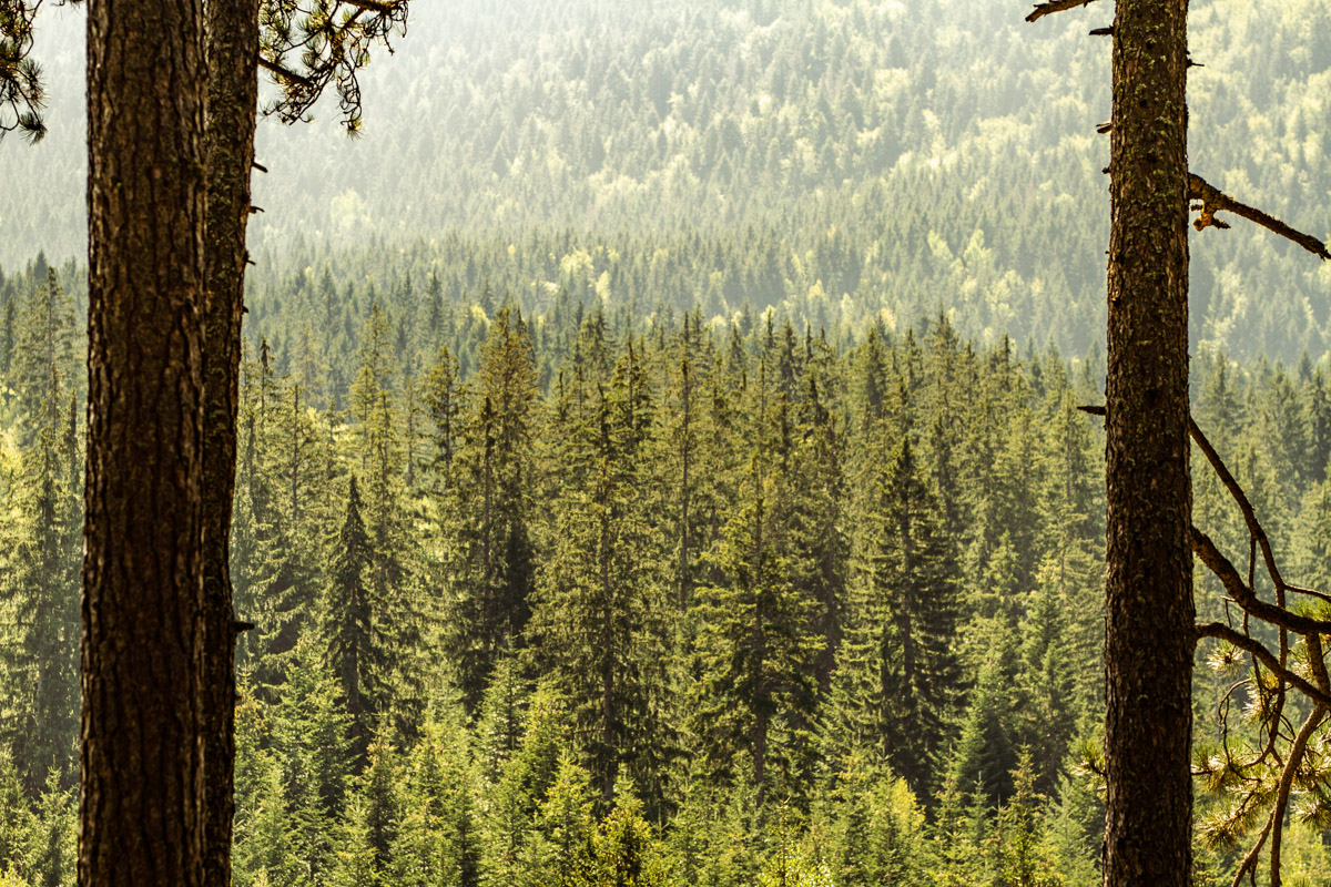 Happy #EarthDay!

// Bosnia // (2018)