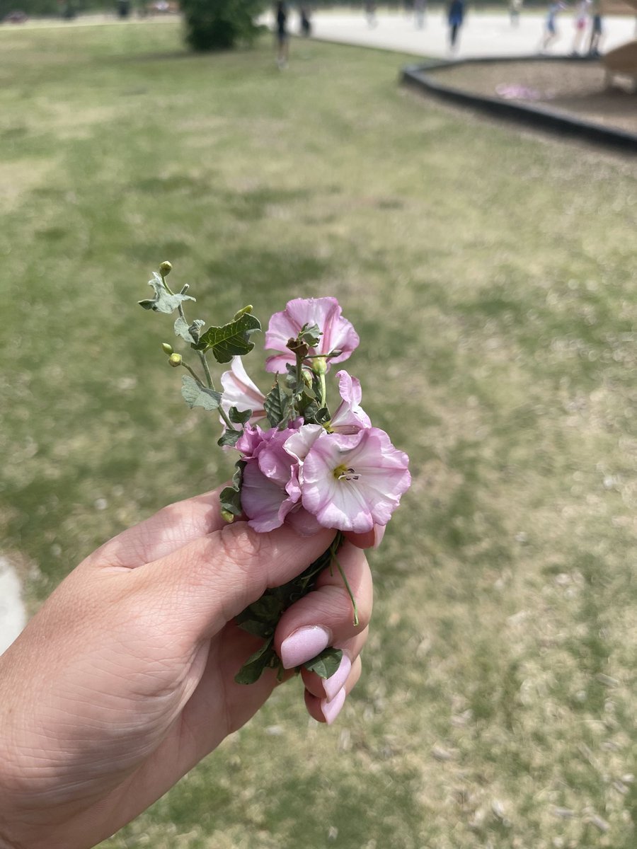 “I love you, Mrs. Lane!” -Lanian <a href="/CLESLilTexans/">Clara Love ES</a>