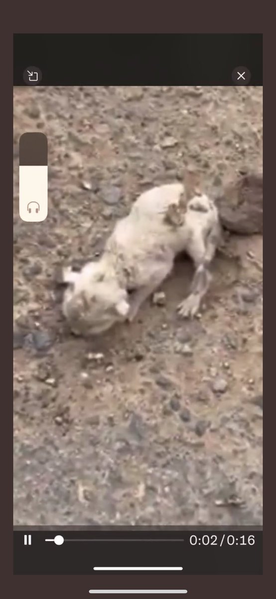 مطلوب ام مرضعه لهلكتن المسكين توه مولود الله يجزاكم الجنه ويفرجلكم الرياض حي اليرموك الرجال مستعد يوصلها لاي مكان الله يسعدكم