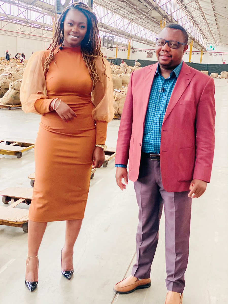 agribusiness110's tweet image. Generally this year tobacco is paying more as compared to last year . Out and about today in Harare at the Tobacco Sales Floors . We had an opportunity to interact with the CEO of ⁦@timb_zw⁩ Mr ⁦@Meanwellgudu1⁩ .