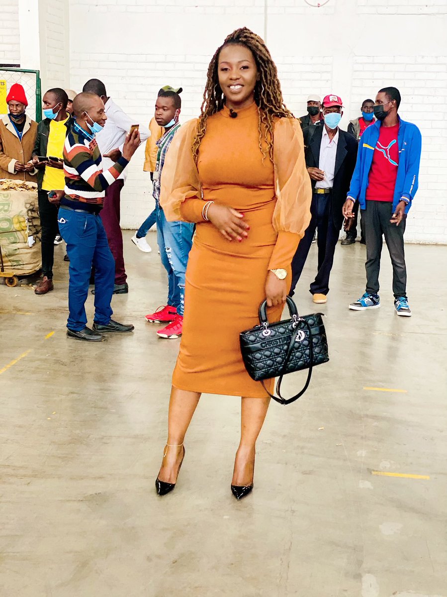 agribusiness110's tweet image. Generally this year tobacco is paying more as compared to last year . Out and about today in Harare at the Tobacco Sales Floors . We had an opportunity to interact with the CEO of ⁦@timb_zw⁩ Mr ⁦@Meanwellgudu1⁩ .