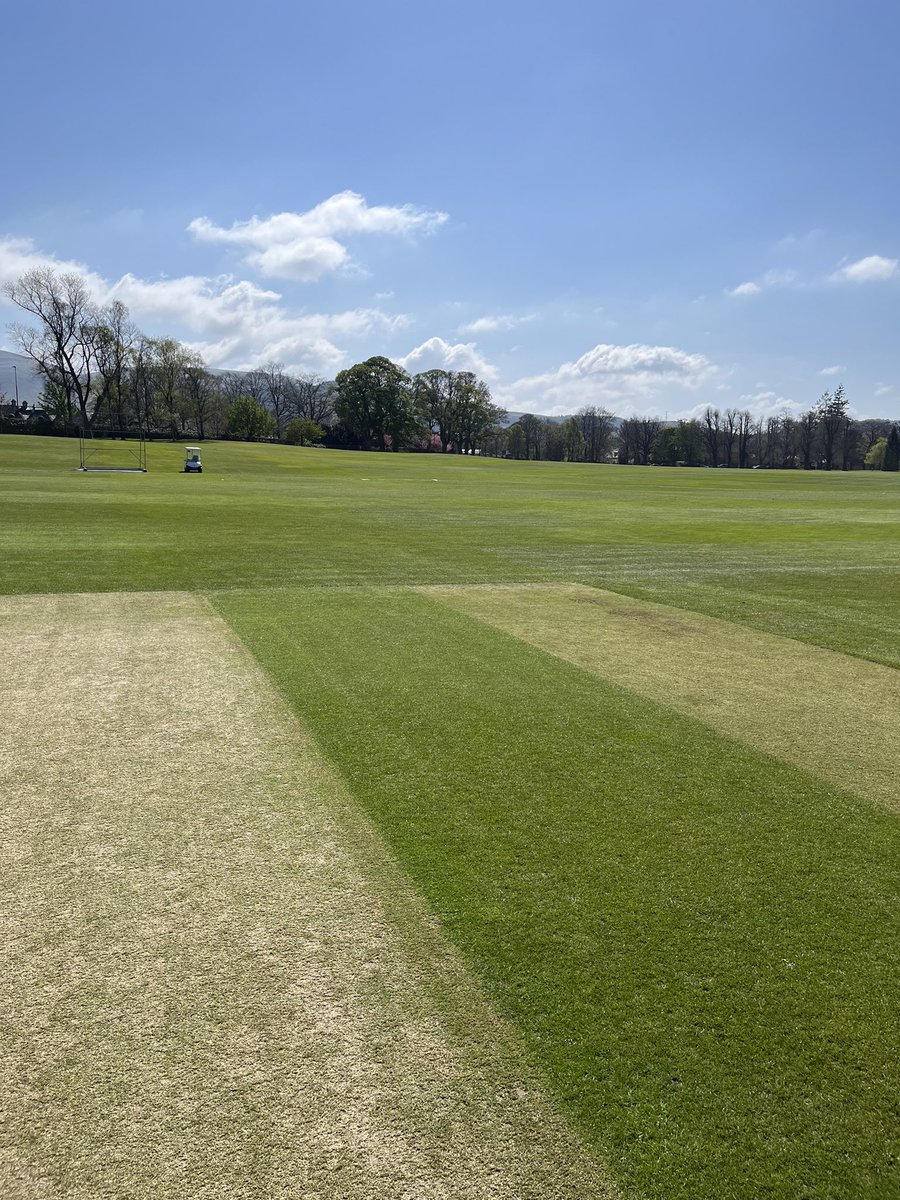 Merchiston Grounds tweet media