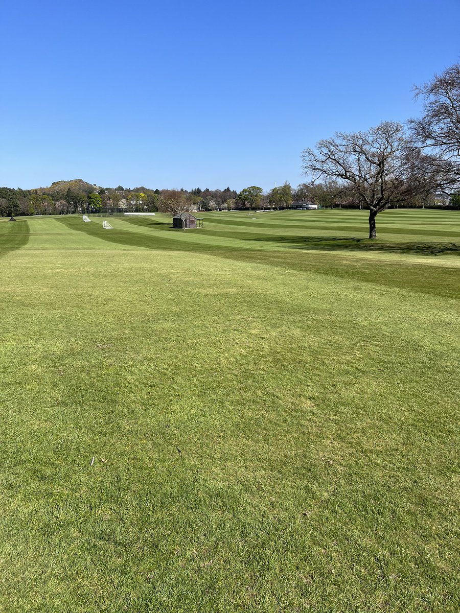 Merchiston Grounds tweet media