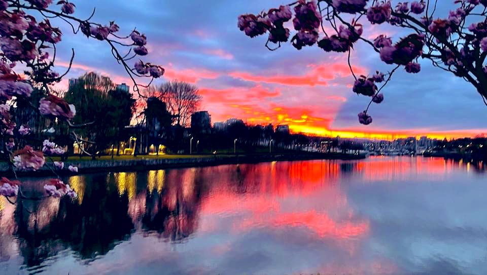 Nellynet7's tweet photo. Happy #earthday Let’s remember this is our unique and wonderful only livable 🌍 we have. Daily decisions make timeless impacts. #reducereuserecycle #carsharing #cooperativehousing #publictransit #buylocal. https://t.co/K7sLfwvxEA
