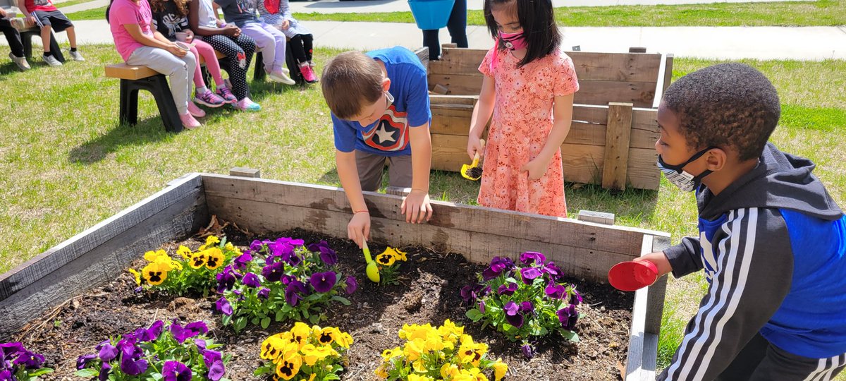 Stephanie Terezon tweet media