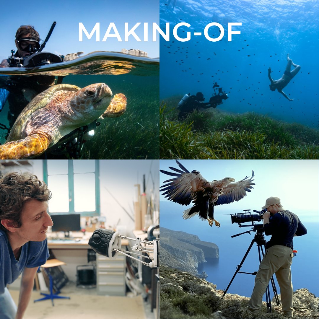 [J-7 REPLAY] 💥💥 Plongez dans les secrets de #Méditerranée avec le making-of. Retour sur cette expérience hors du commun où toute une équipe ont enquêté durant quatre ans pour ramener des images spectaculaires. 
Sur <a href="/france_tv/">Eurostream.tv</a> jusqu'au 11 juin : france.tv/france-2/medit…