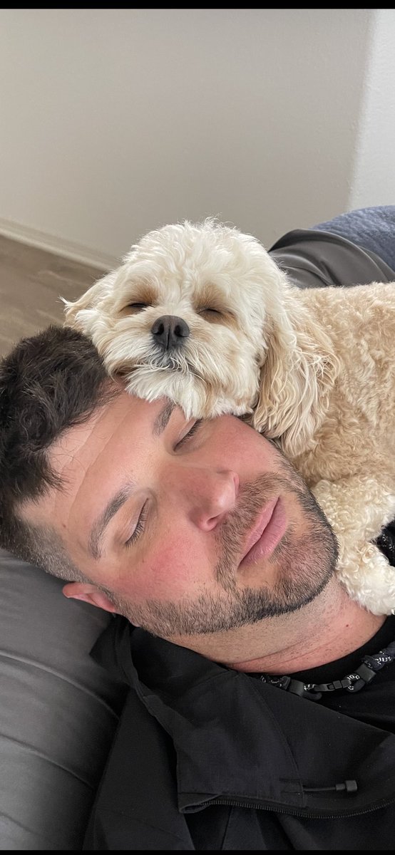 Chunkypoo13's tweet image. My dad is an excellent pillow I think!  Lazy boy days #puppy #dog #dogsoftwitter #DogsAreFamily