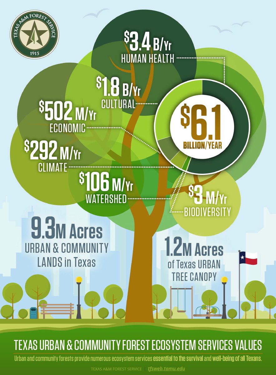 There are 9.3 million acres of urban and community lands in Texas and 1.2 million of those are under tree canopy. This tree canopy provides $6.1 billion in services per year for the state of Texas. 
 
🌳Find the full report here: bit.ly/3v7e0h2.