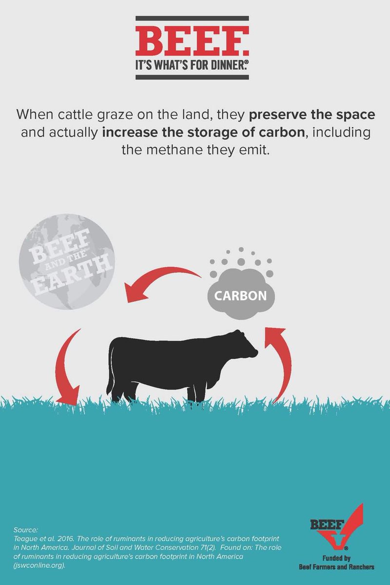 Cattle make the earth a better place. 🌎 Happy Earth Day! 

#earthday #earthdayeveryday #betterwithbeef #beef #CattleFax