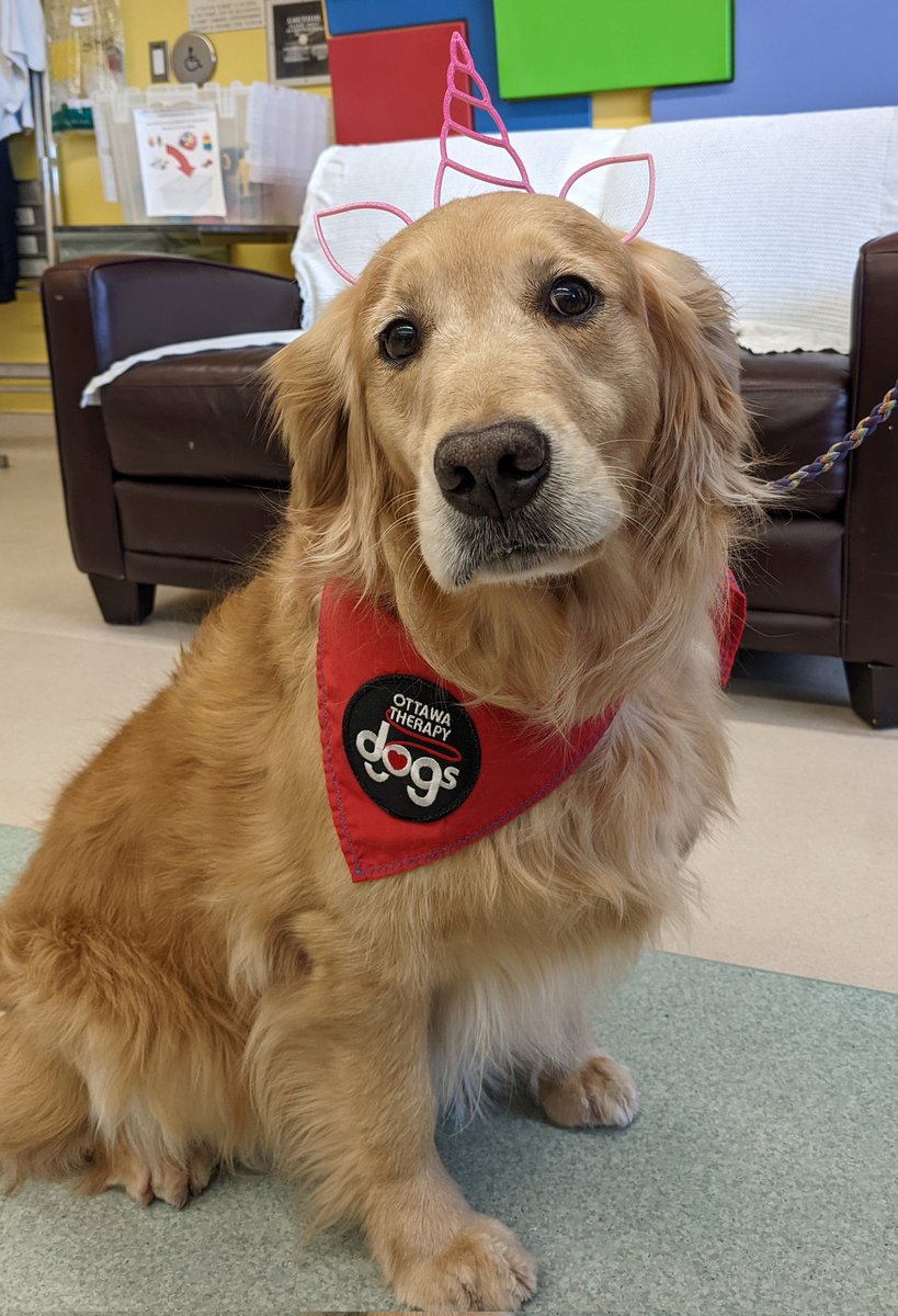 Happy #UnicornDay at @CHEO!! Lark, the @OTD_Ottawa therapy dog visiting our patients today wanted to celebrate too! #ChildLife #ChildLifeSpecialist