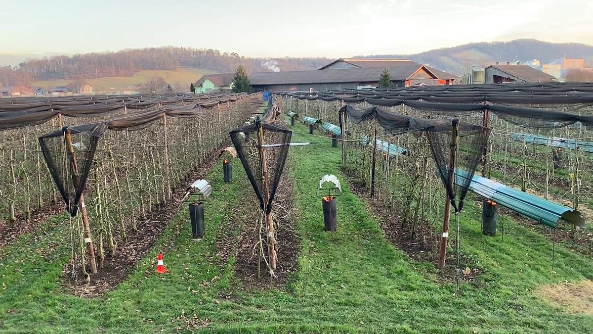 FPCreview's tweet image. Case no. S2022_001 | Judgment of 2 March 2022 | &apos;Pelliheat; register ban&apos;
Undoing an improper assignment, the hard way
#Pelliheat #declaratoryjudgment #assignment

patentlitigation.ch/undoing-an-imp…