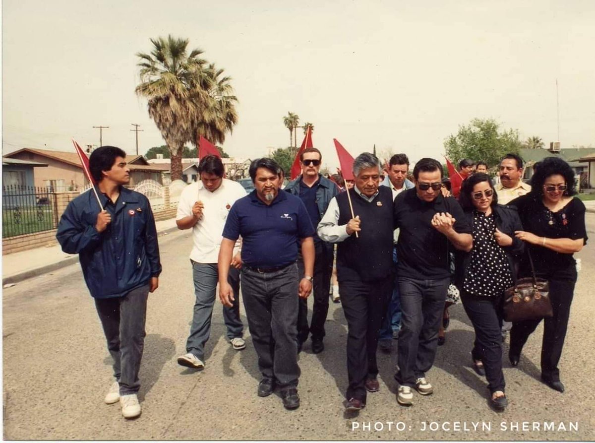 UFWupdates's tweet photo. In the old days, miners would carry birds with them to warn against poison gas. Hopefully, the birds would die before the miners. Farm workers are society's canaries. Farm workers-and their children-demonstrate the effects of pesticide poisoning before anyone else. - #CesarChavez https://t.co/fdFt8iswQH