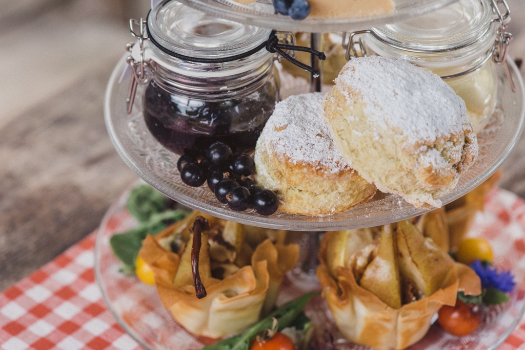 Swallowtail Hill tweet media