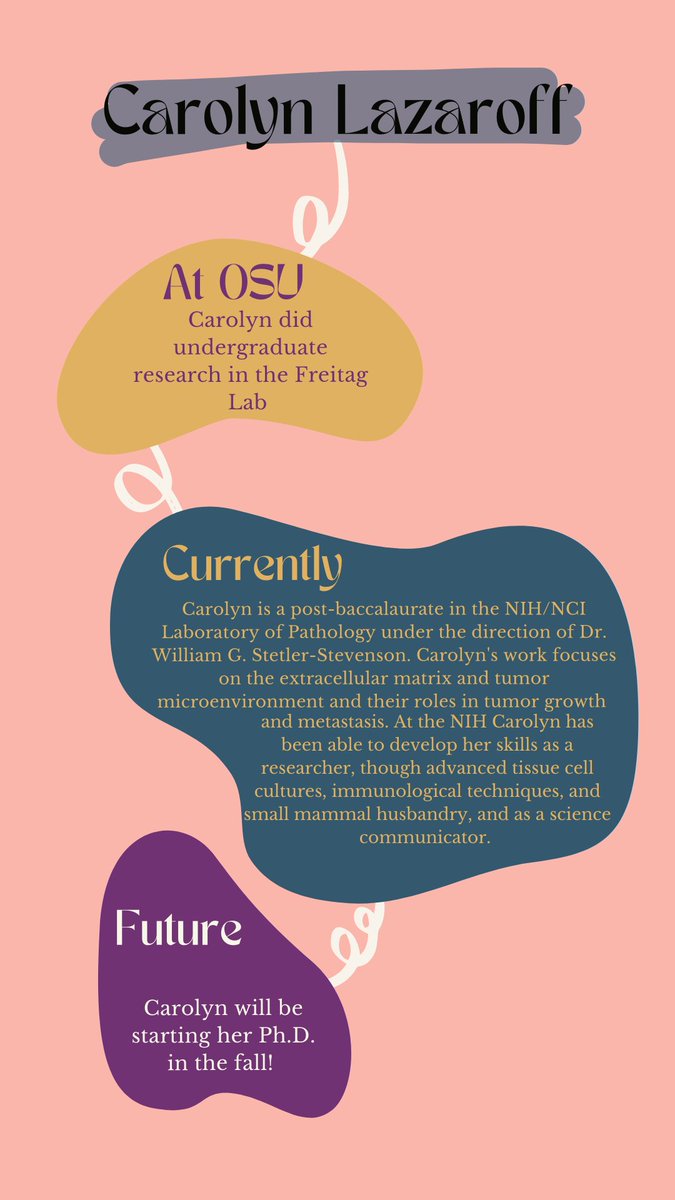 Oregon State BB tweet media