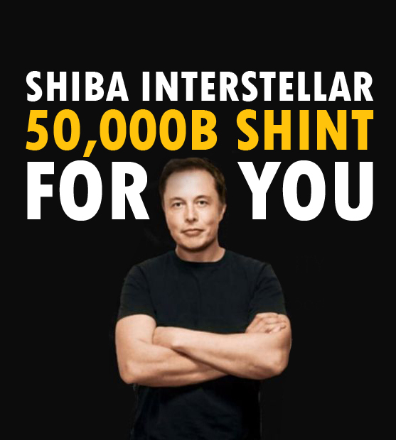 SHIBA INTERSTELLAR tweet media