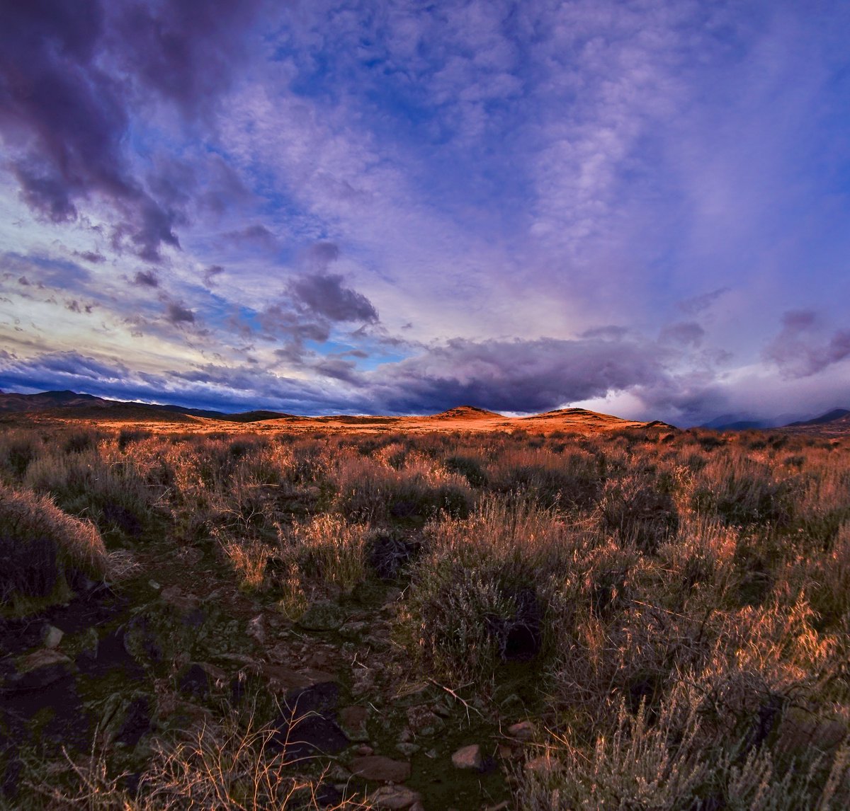 Nevada Wolf Pack 🐺 tweet media