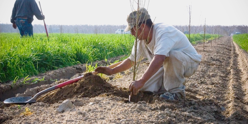 As farmers, we have a responsibility to be stewards of the land. Here, every day is Earth Day.
#HMCfarms #earthday