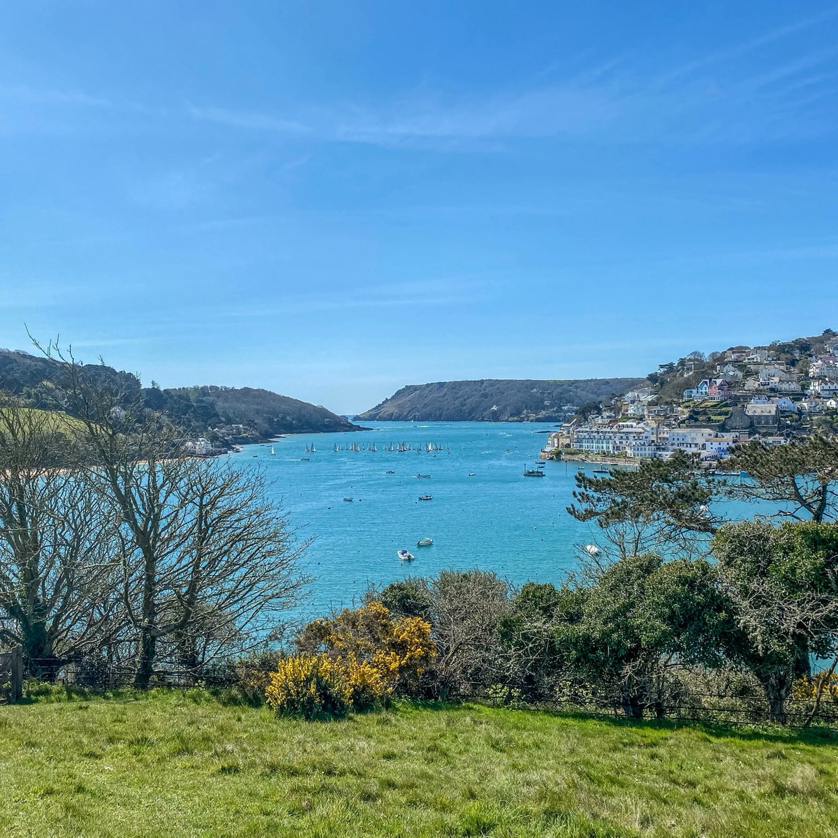 A gentle afternoon stroll at Snapes Point admiring the views over Salcombe - we have been blessed with the most glorious weather recently! ☀️