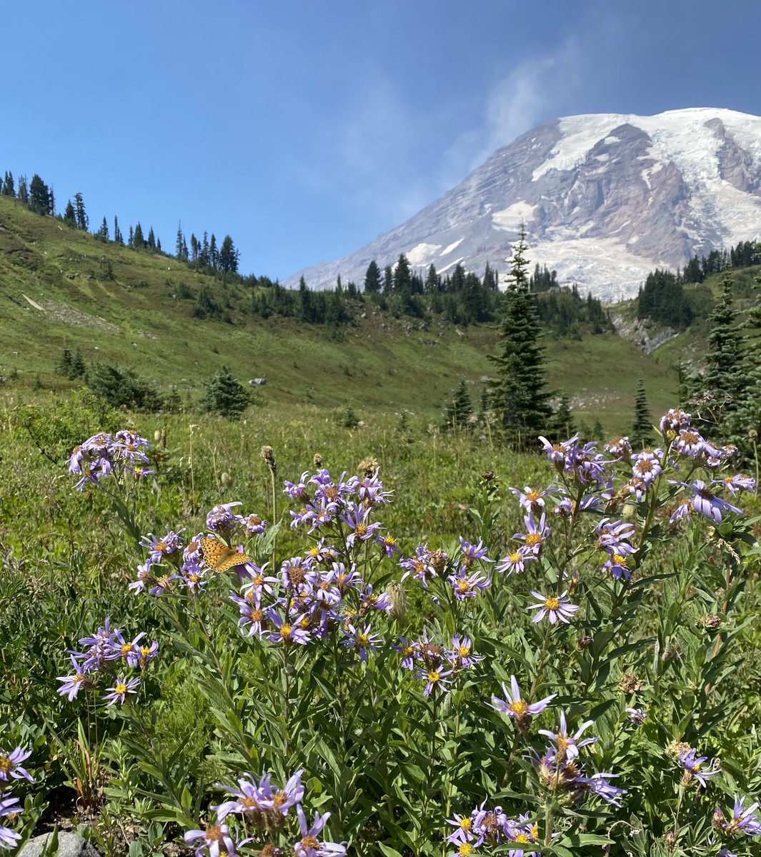 hammonds_amy's tweet photo. Happy #EarthDay 
I’m so thankful for all of the beautiful places I have been able to explore and am looking forward to many more adventures! May we all remember to take care of our beautiful planet. #ThereIsNoPlanetB https://t.co/nUEmeXuMZn