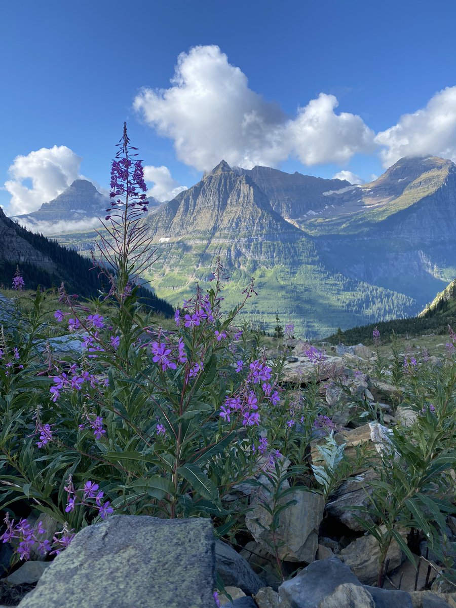 hammonds_amy's tweet photo. Happy #EarthDay 
I’m so thankful for all of the beautiful places I have been able to explore and am looking forward to many more adventures! May we all remember to take care of our beautiful planet. #ThereIsNoPlanetB https://t.co/nUEmeXuMZn