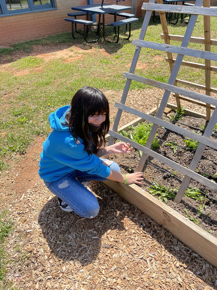 Jena Horm tweet media