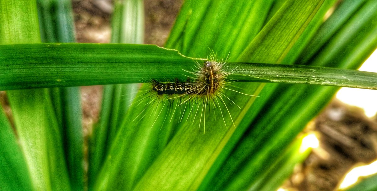 AutismCapItaI🧩 tweet media