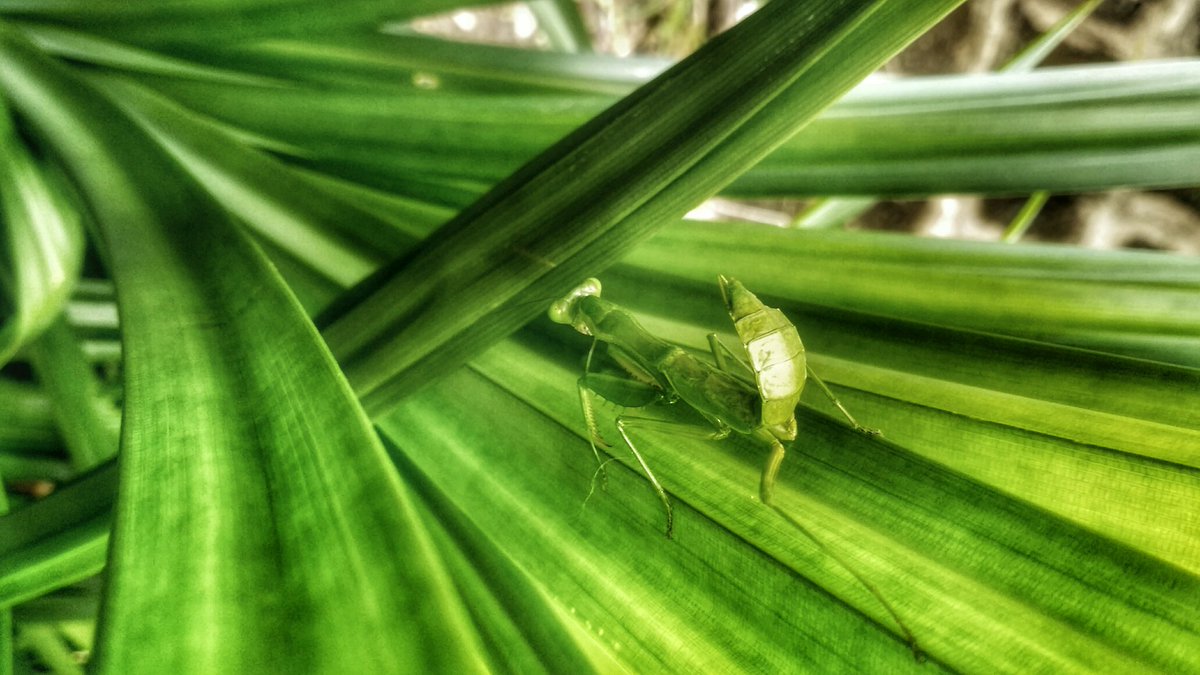 AutismCapItaI🧩 tweet media