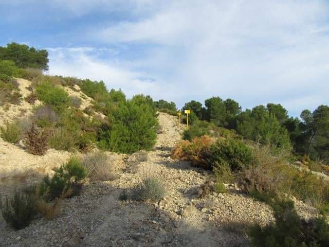 🔊 L'ajuntament aconsegueix l'ingrés de 82.741,12 € d'Enagás per l'ocupació del domini públic pel període 2015 A 2018 🏞️📍

Més informació: bit.ly/3K6J7O8

#LaFontSomServeisPúblics
#PerAMillorarElPoble